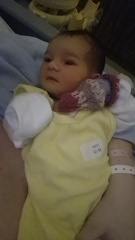 IMG-20240725-WA0055