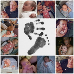 photocollage 202491152444731