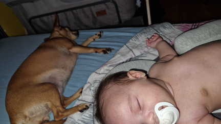 IMG-20240903-WA0011